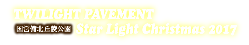 TWILIGHT PAVEMENT Star Light Christmas 2017