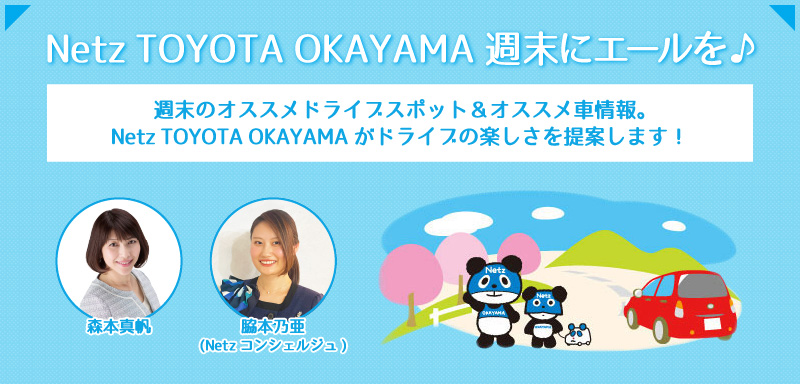 Netz TOYOTA OKAYAMA ˥
