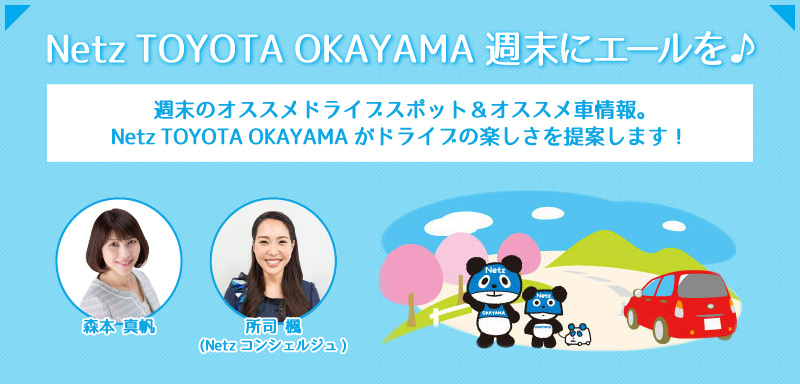 Netz TOYOTA OKAYAMA ˥